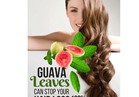 مفاجأة| أوراق الجوافة تساعد على نمو الشعر وفقدان الوزن
