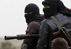 قوات سوريا الديمقراطية تسيطر على موقع مهم لداعش بالرقة