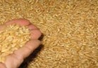 «الزراعة» توفير احتياجات مزارعي سيناء بنصف الثمن 