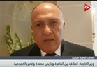 فيديو.. وزير الخارجية: العلاقات المصرية الفرنسية تتميز بالخصوصية 