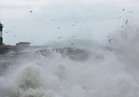 العاصفة الإستوائية "سيلما" تضرب سواحل السلفادور