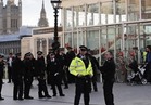 اعتقال امرأة أثناء محاولتها تسلق بوابات قصر بكنجهام ببريطانيا