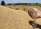 عاجل| القضاء الإداري يقضي بوقف استيراد القمح الروسي