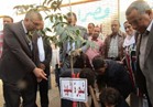 رئيس حي الوايلي يشارك طلاب "الجلاء" في زراعة شجرة الشهيد 
