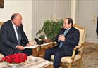 السيسي يتلقى تقريراً من وزير الخارجية حول نتائج جولته العربية بالأردن و5 دول خليجية