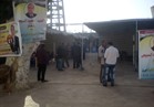 إجراءات أمنية مشددة  في انتخابات نادي المنيا  الرياضي