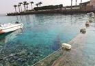 «الانقاذ البحري» تتلقى بلاغًا بتلوث مياه البحر الأحمر بالسولار