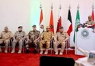 قوات دعم الشرعية في اليمن تعيد فتح ميناء الحديدة ومطار صنعاء