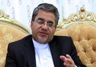 السفير الإيراني بالأردن : إيران لم تزود الحوثيين بالسلاح 