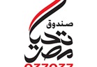 صندوق "تحيا مصر" يعلن تلقي تبرعات بقيمة 4 ملايين جنيه  لدعم قرية الروضة 