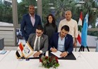 تعاون بين شباب مصر ولبنان بمجالات التمكين السياسي والاقتصادي