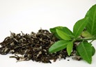 تحذير من احتواء أوراق الشاي على مبيدات حشرية