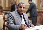 نائب يطالب باستدعاء وزير الداخلية بسبب «العادلي»والتقارير السنوية 