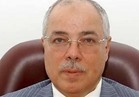 برلماني يطالب بإسقاط الجنسية عن «أحمد شفيق»