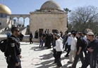"التحرير الفلسطينية" يحذر من خطورة استمرار اقتحام المستوطنين للمسجد الأقصى