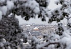 انتفاضة الحجارة| القدس..لعينيها سأقاوم