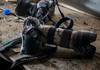 مراسلون بلا حدود: ذبح الصحفيين في سوريا مروع خلال 2014