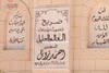 هنا يرقد زويل 