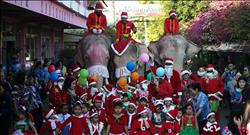 صور| على طريقة «بابا نويل» الأفيال توزع الهدايا في تايلاند