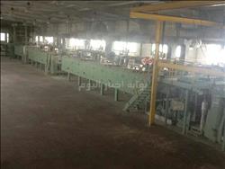صور| إهمال وغلق «مصنع الإسكندرية للجلود الصناعية» والعمال يستغيثون