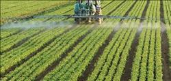 حصاد الزراعة| ارتفاع الصادرات الزراعية وفتح أسواق جديدة وكلمة السر «2017»