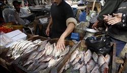 انخفاض أسعار الأسماك اليوم في سوق العبور 
