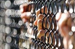 أحكام بالسجن المشدد ما بين سنة و10 سنوات لـ 78 إخوانيا بسوهاج