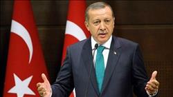 إردوغان: الاتفاقيات الثنائية مع الولايات المتحدة تفقد صلاحيتها