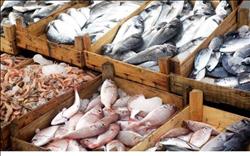 ارتفاع أسعار الأسماك بسوق العبور..والبلطي يسجل 29 جنيها
