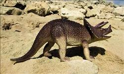 بيع ذيل ديناصور مغربي في مزاد لصالح مشروع إعمار في المكسيك 