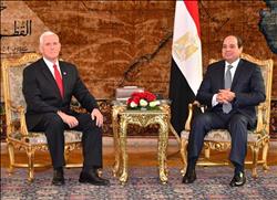 السيسي: موقف مصر ثابت من القضية الفلسطينية وداعم لحقوق الفلسطينيين