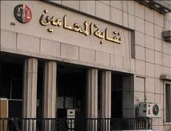 «محاميي المحلة» تؤيد قرارات النقابة العامة بتنقية الجداول