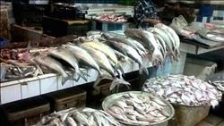 نرصد أسعار الأسماك  اليوم في سوق العبور 