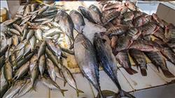 انخفاض أسعار الأسماك في سوق العبور 