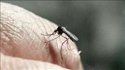 العلماء يكتشفون وسيلة جديدة لمكافحة البعوض