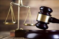 محاكم مصر اليوم| تأجيل أحداث «العدوة» ومحاكمة «مستشار الصحة»
