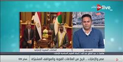 «أستاذ علوم سياسية»: استقرار مصر جزء لا يتجزأ من استقرار الإمارات