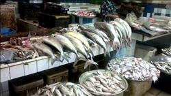 تباين في أسعار الأسماك بسوق العبور