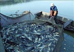 ضبط 21 قضية تلاعب في مجال الأسماك واللحوم ومصنعاتها