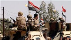 "الوطنية للمصريين بالخارج" تؤيد العملية العسكرية في سيناء 