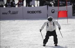 فيديو وصور.. سباق بين روبوتات على الجليد في دورة الألعاب الأولمبية الشتوية