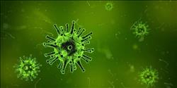 4 أسباب تحول الأنفلونزا إلى مرض «قاتل»