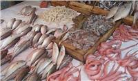 تعرف على أسعار الأسماك في سوق العبور