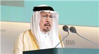 وزير الدولة السعودي: مصر نجت من الربيع العربي..وإذا سلمت سلمنا