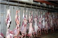 ننشر «أسعار اللحوم» في الأسواق اليوم