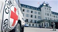 استبعاد 21 موظف من العاملين بالصليب الأحمر بسبب انتهاكات جنسية