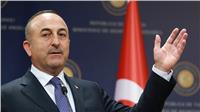 تركيا ترحب بقرار وقف إطلاق النار في سوريا