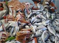نرصد«أسعار الأسماك» في سوق العبور اليوم