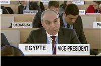 علاء يوسف: مصر حريصة على التعاون مع الآليات الدولية المعنية بحقوق الإنسان