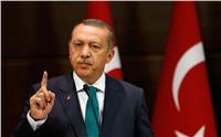 أردوغان: قرار الهدنة في سوريا لا يُنفذ